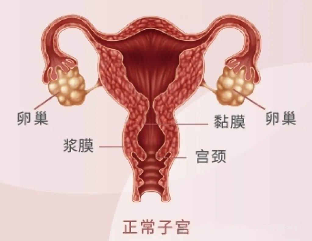 用愛守護(hù)，“針”心奉獻(xiàn)。
